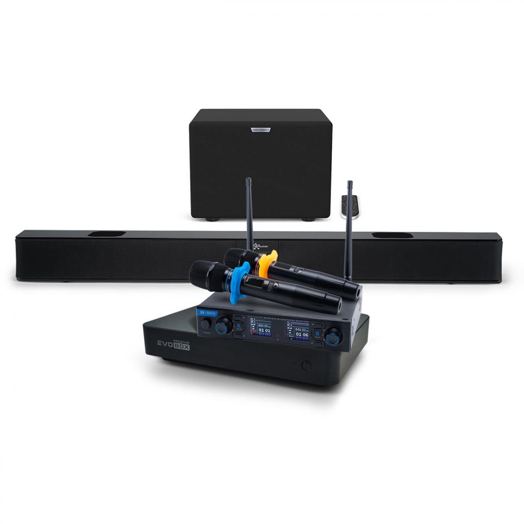 Hi-End караоке-система EVOBOX Premium + EvoSoundBar (саундбар с караоке) в Амурской области