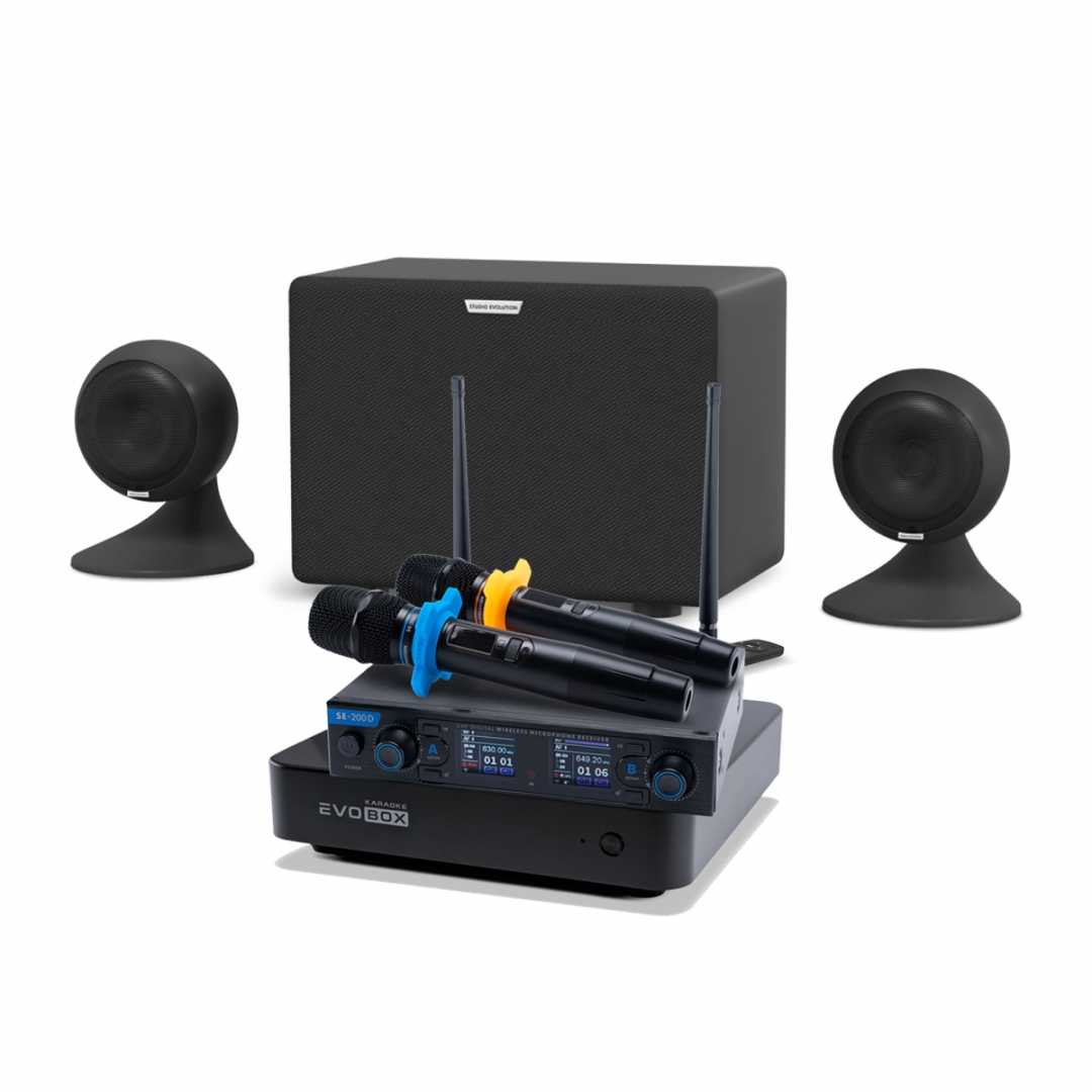 караоке-комплект EVOBOX + EvoSound Sphere 2.1 в Амурской области