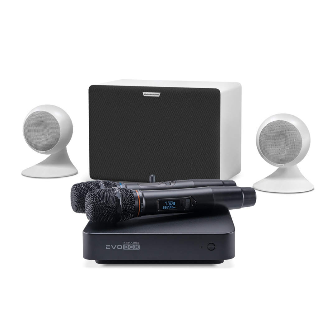 караоке-комплект EVOBOX Classic + EvoSound Sphere 2.1 в Амурской области