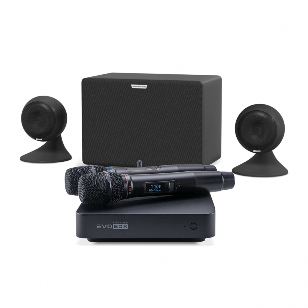 караоке-комплект EVOBOX Plus + EvoSound Sphere 2.1 в Амурской области