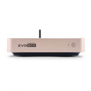 EVOBOX Plus караоке-система для дома в Амурской области